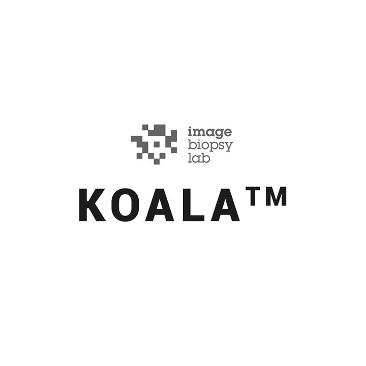 Aplicatie de inteligenta artificiala pentru radiografii de genunchi Koala_00
